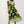 Laden Sie das Bild in den Galerie-Viewer, Alltagskleid Model 196590 Italy Moda
