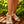 Laden Sie das Bild in den Galerie-Viewer, Sandalen Model 198409 Step in style
