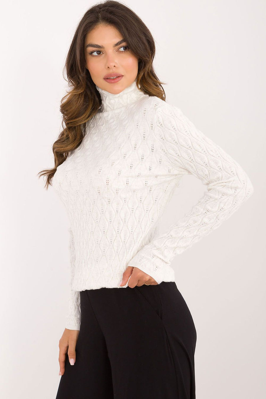 Rollkragenpullover Model 203191 AT