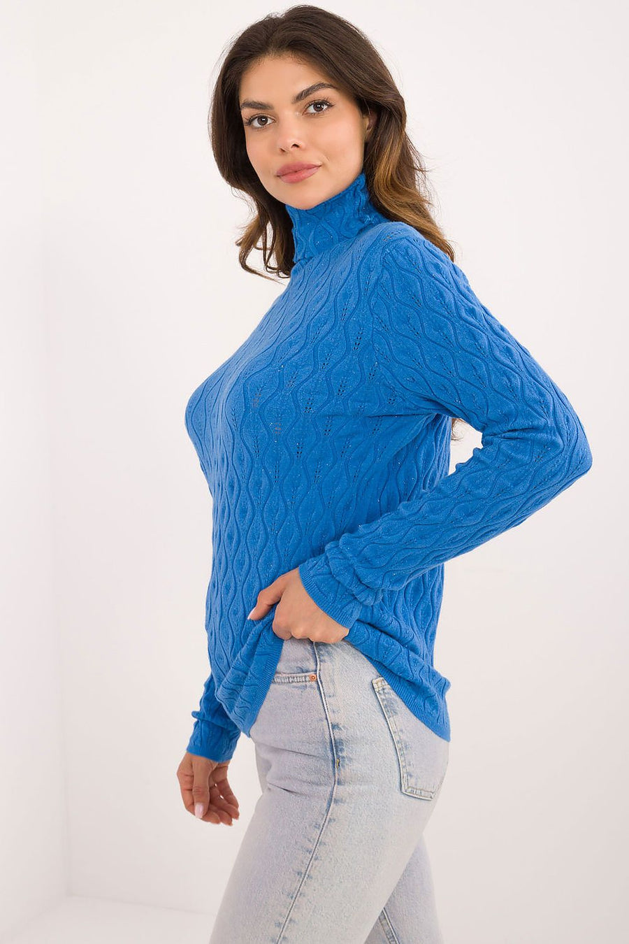 Rollkragenpullover Model 203192 AT