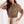Laden Sie das Bild in den Galerie-Viewer,  Damen Hemd model 213427 Italy Moda 
