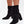 Laden Sie das Bild in den Galerie-Viewer,  Stiefeletten mit Absatz model 217793 Step in style 
