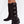 Laden Sie das Bild in den Galerie-Viewer,  Stiefel mit Absätzen model 217819 Step in style 

