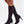 Laden Sie das Bild in den Galerie-Viewer,  Stiefel mit Absätzen model 219585 Step in style 
