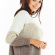 Laden Sie das Bild in den Galerie-Viewer,  Pullover model 149739 awama 
