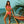 Laden Sie das Bild in den Galerie-Viewer, Zweiteiler Bikini Model 194100 Lorin
