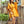 Laden Sie das Bild in den Galerie-Viewer, Alltagskleid Model 137550 Numoco | Textil Großhandel ATA-Mode
