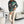 Laden Sie das Bild in den Galerie-Viewer, Sweater Model 175021 Numoco | Textil Großhandel ATA-Mode

